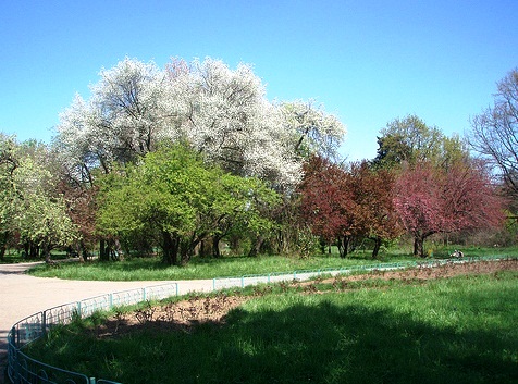 The Botanical Garden - Beautiful landscape