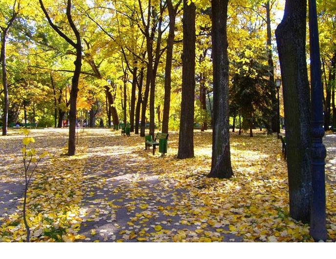 The Public Garden “Stefan cel Mare”  - Beautiful golden autumn