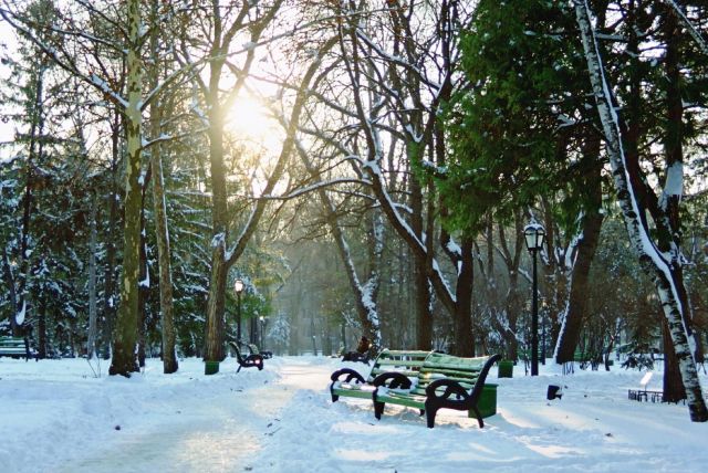 The Public Garden “Stefan cel Mare”  - Winter time