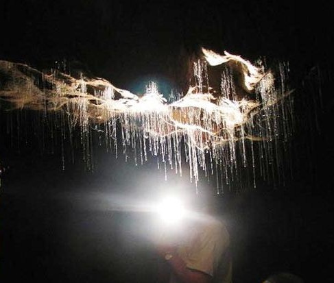 Waitomo Caves - mysterious places