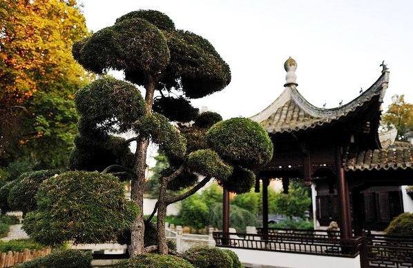 Bethmann Park - Chinese Garden