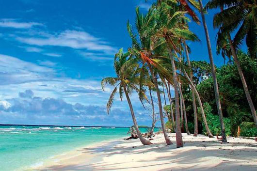Barbados in Caribbean - Incredible scenery