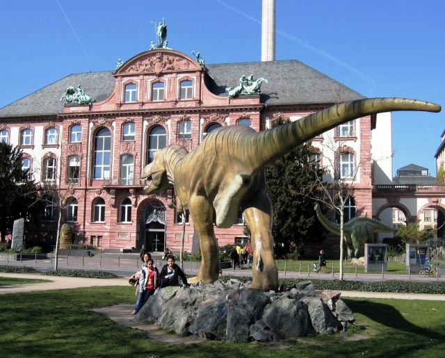 Senckenberg Museum of Natural History - Exterior view