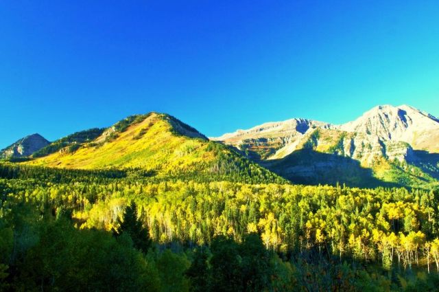 The Wasatch Mountain State Park  - Picturesque view