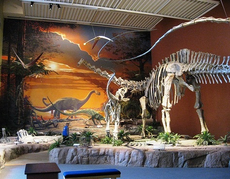  New Mexico Museum of Natural History and Science - Interior exibits