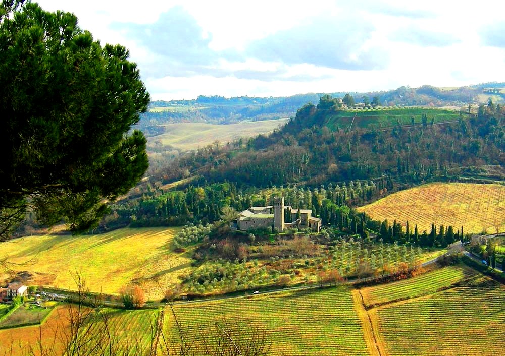 Foreste Casentinesi, Mount Falterona and Campigna National Park - Beautiful Tuscany