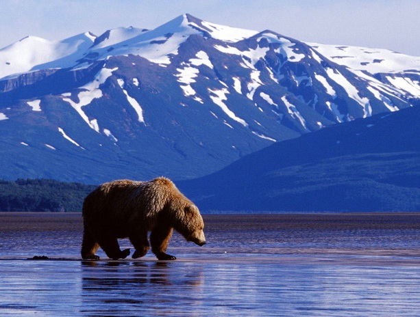 Alaska in USA - View on Alaska