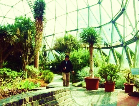 The Botanical Garden Dusseldorf  - Inside view