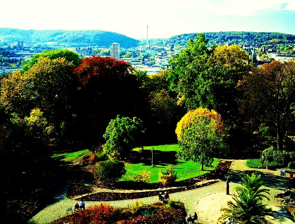 The Botanical Garden Dusseldorf  - Overview