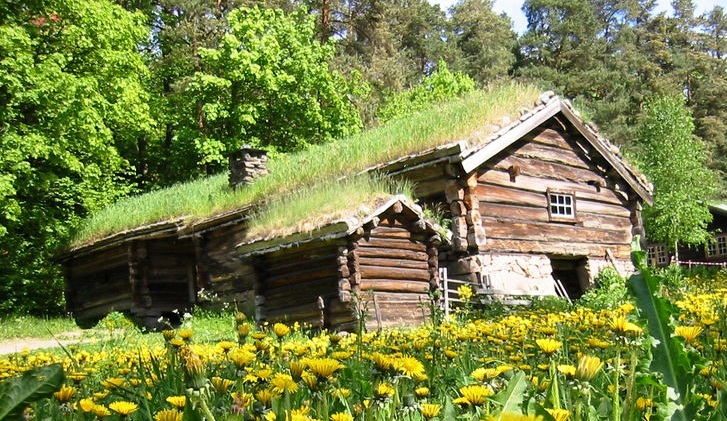 Norwegian Museum of Cultural History - Old Houses