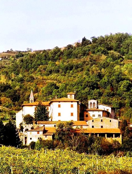 Castel Focognano - Lush setting