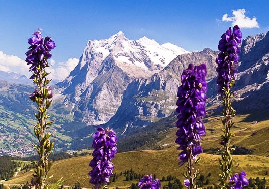 Bernese Oberland - Impressive view