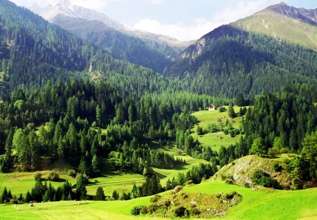 St Moritz - Green landscape