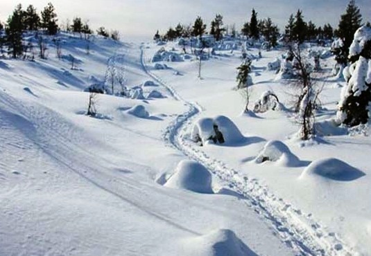 Levi - Ski area