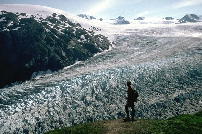 Seward - Exit Glacier