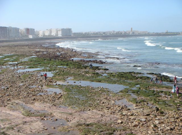 Casablanca- the most cosmopolitan city in the Islamic world  - Panorama view