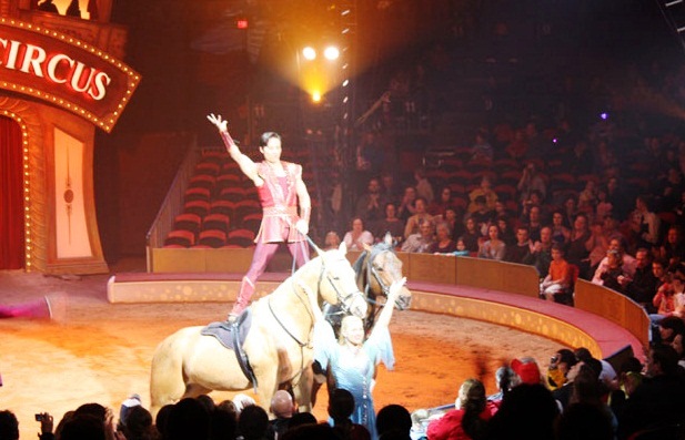  Big Apple Circus – the most generous in the world - Wonderful ambiance