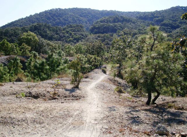 El Espinazo Del Diablo - Rough vegetation 