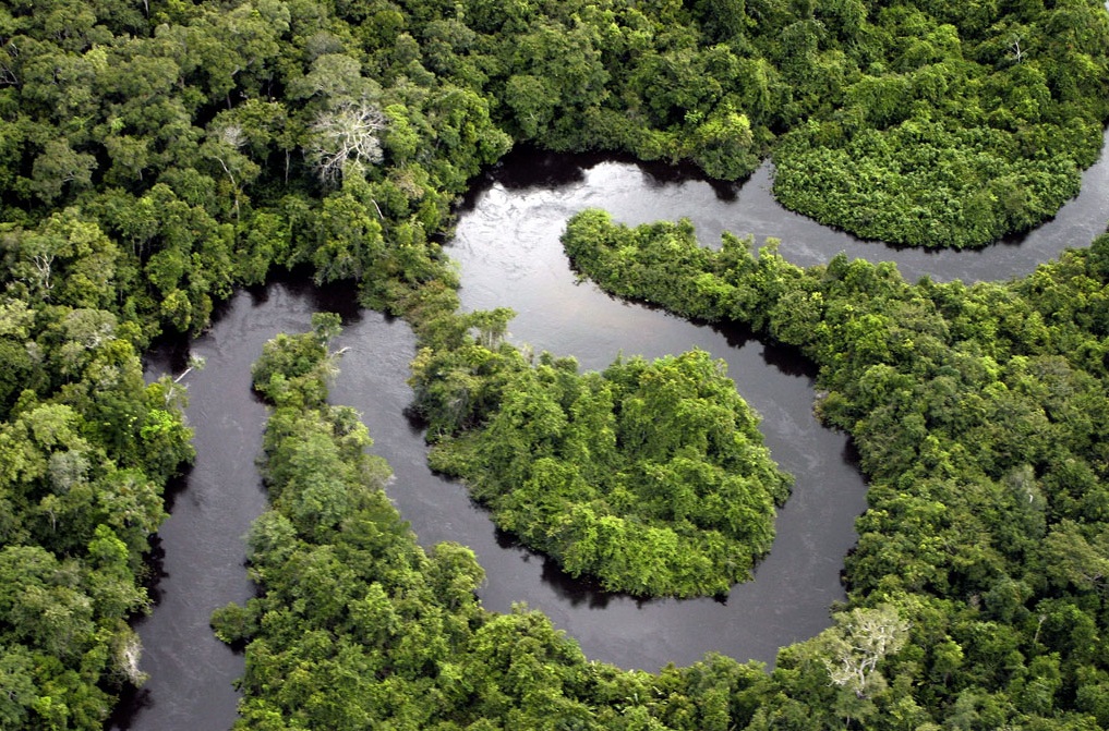 The Amazon River - The greatest river in the whole world