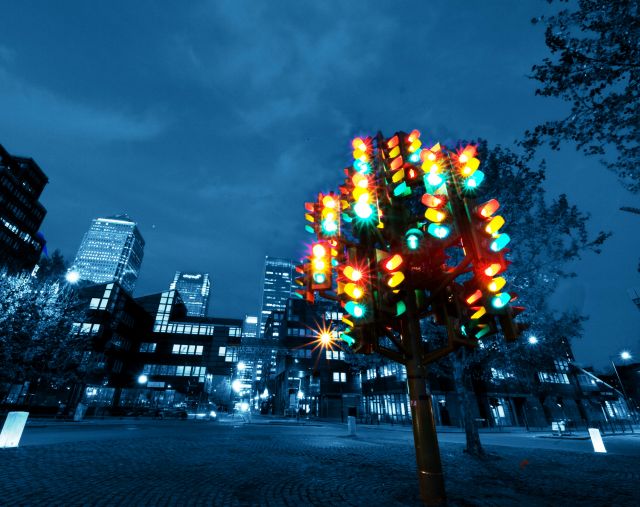  The Traffic Light Tree - Unique tree