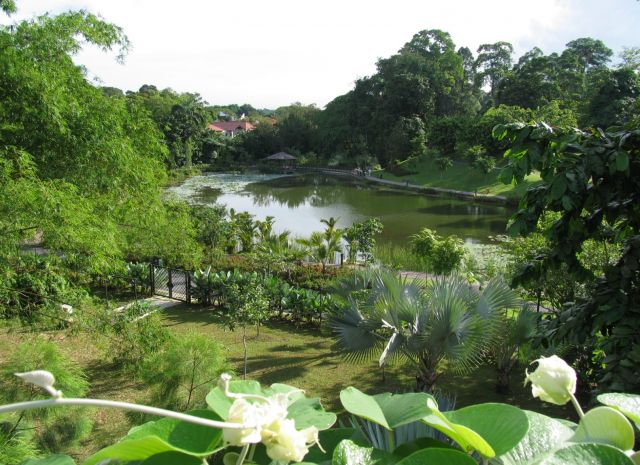 Singapore Botanical Gardens - Exclusive beauty