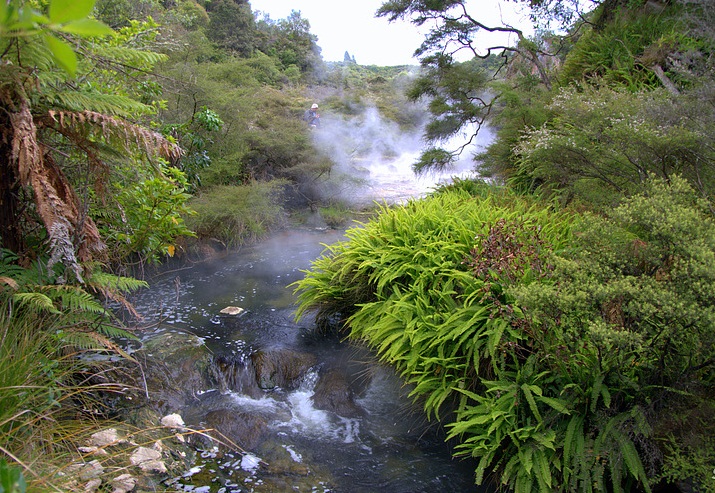 The Waimangu Geyser, New Zealand - Beautiful valley