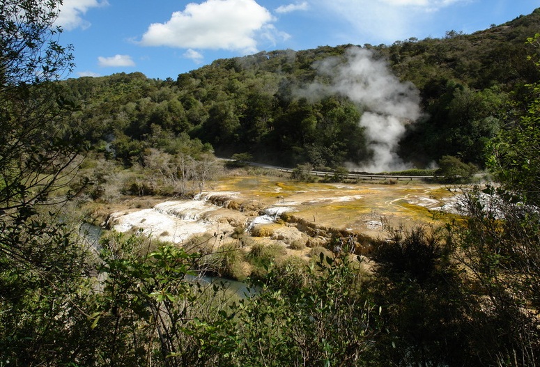 The Waimangu Geyser, New Zealand - Volcanic Valley
