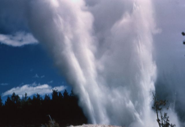 The Steamboat Geyser, Yellowstone National Park, U.S.A - Amazing eruption