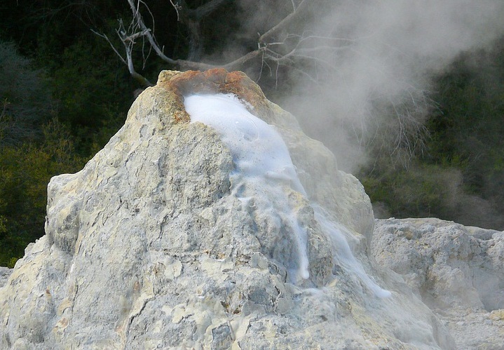  Lady Knox Geyser, New Zealand - Adorable geyser