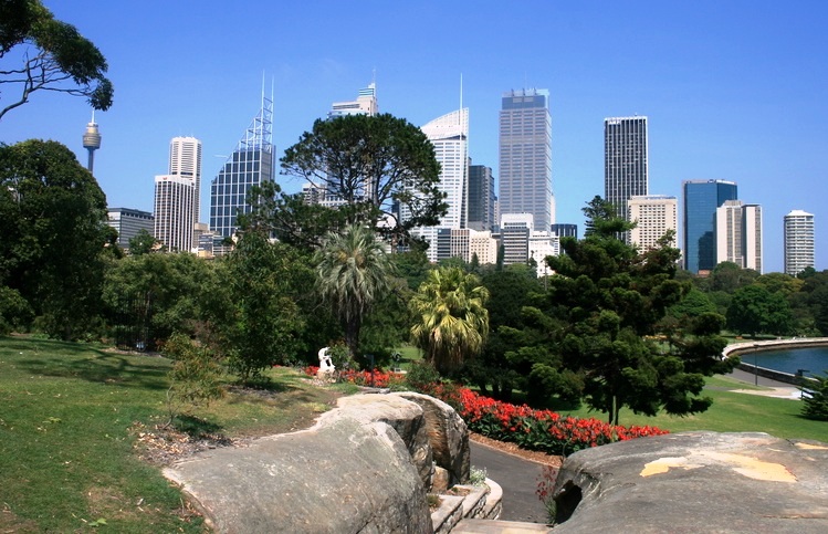 The Royal Botanic Gardens Sydney - Amazing view