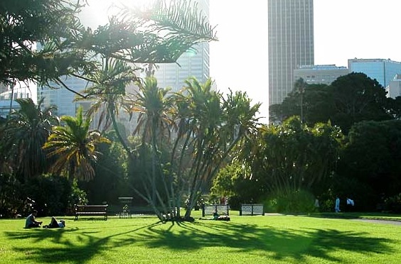 The Royal Botanic Gardens Sydney - Relaxing spot