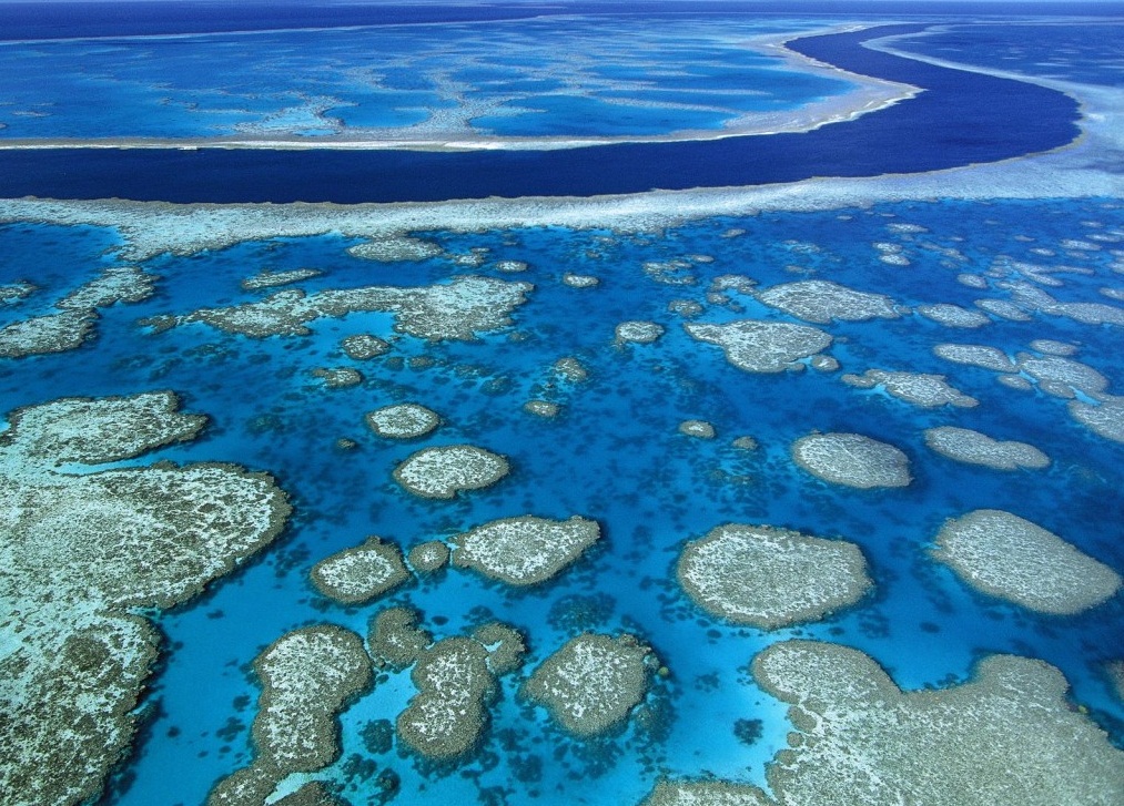 The Coral Sea - The Great Bareer Reef