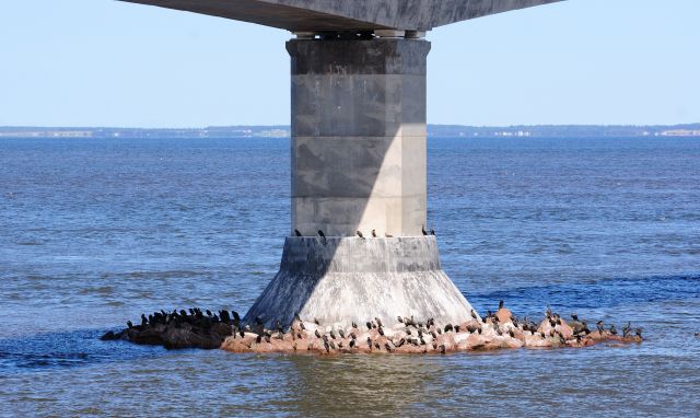 The Confederation Bridge - an Old Pillar