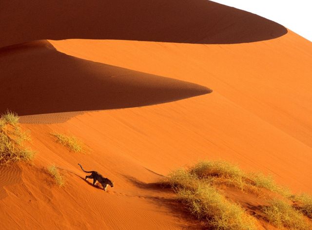 Namibia - Crossing the dune