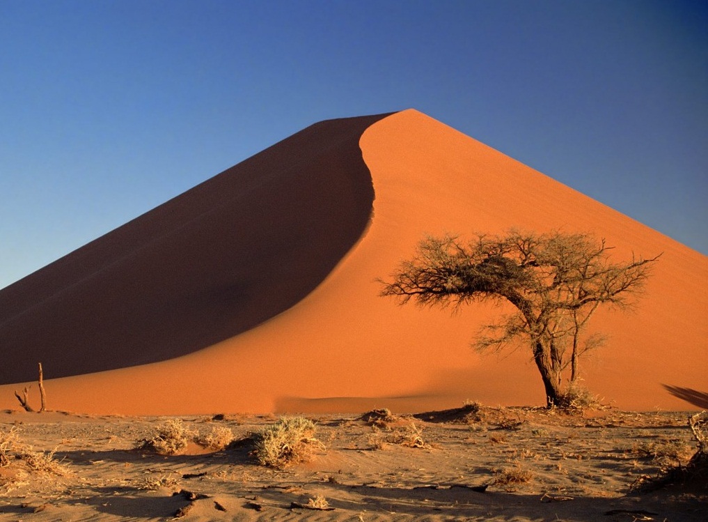 Namibia - Namib Desert