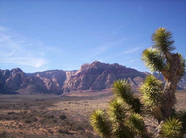 Red Rock Canyon in Nevada, USA - Overview of the Red Rock Canyon