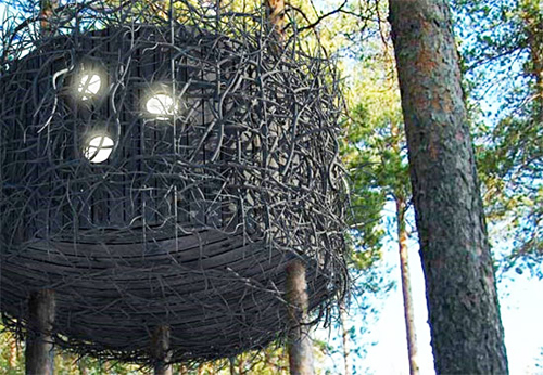 Tree hotel, Sweden - The Bird Nest Tree
