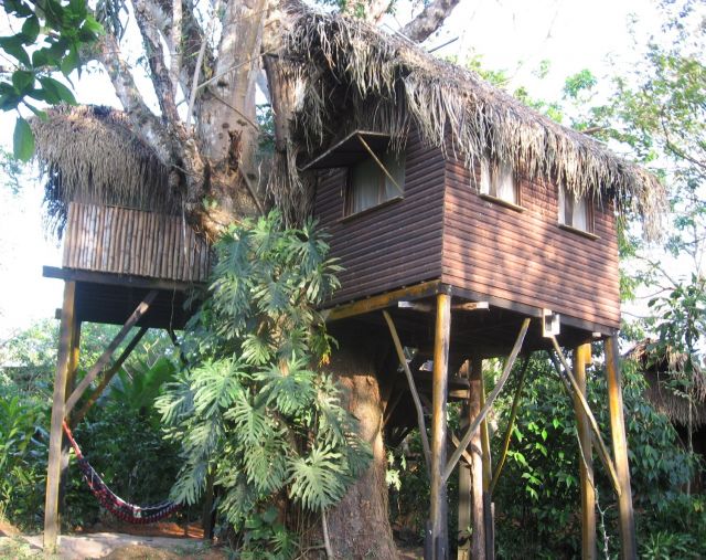 The Parrot Nest Hotel, Belize - Suitable resting place