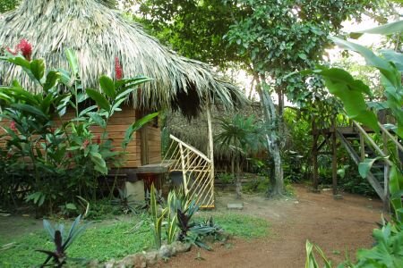 The Parrot Nest Hotel, Belize - Thatched tree house