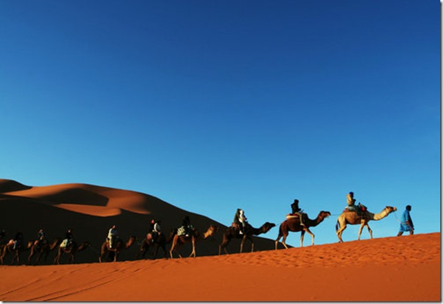 The Sahara Desert, North Africa - Long caravan