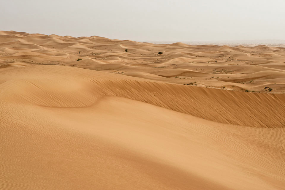 The Arabian Desert  - Beautiful view