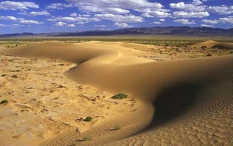 The Gobi Desert - Most expansive arid region