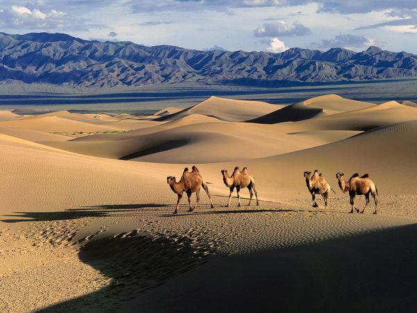 The Gobi Desert - Surreal place