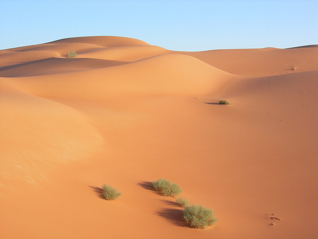 The Rub Al Khali Desert - The realm of the sun