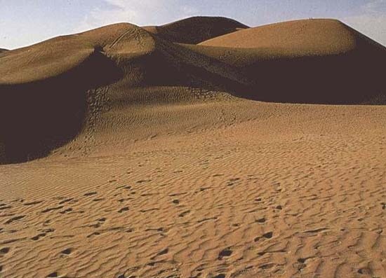 The Thar Desert  - Amazing place