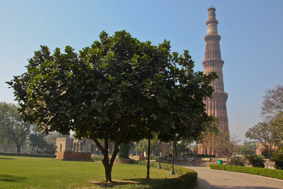 The Minaret of Jam - Overwhelming Islamic architecture