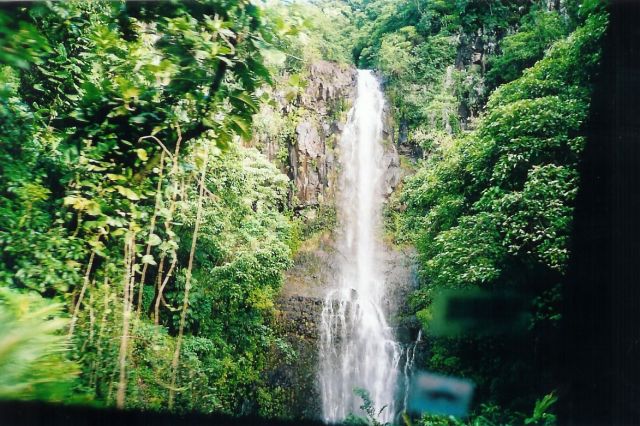 Maui - Eden Garden