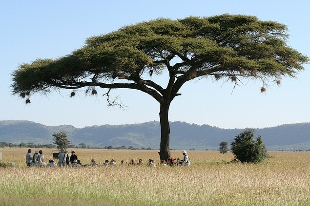 Serengeti National Park, Tanzania - Beautiful view 