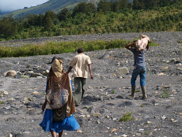 Papua New Guinea - Working people on this land