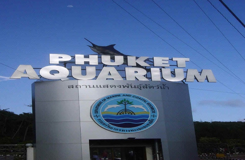  Phuket Aquarium - Exotic marine